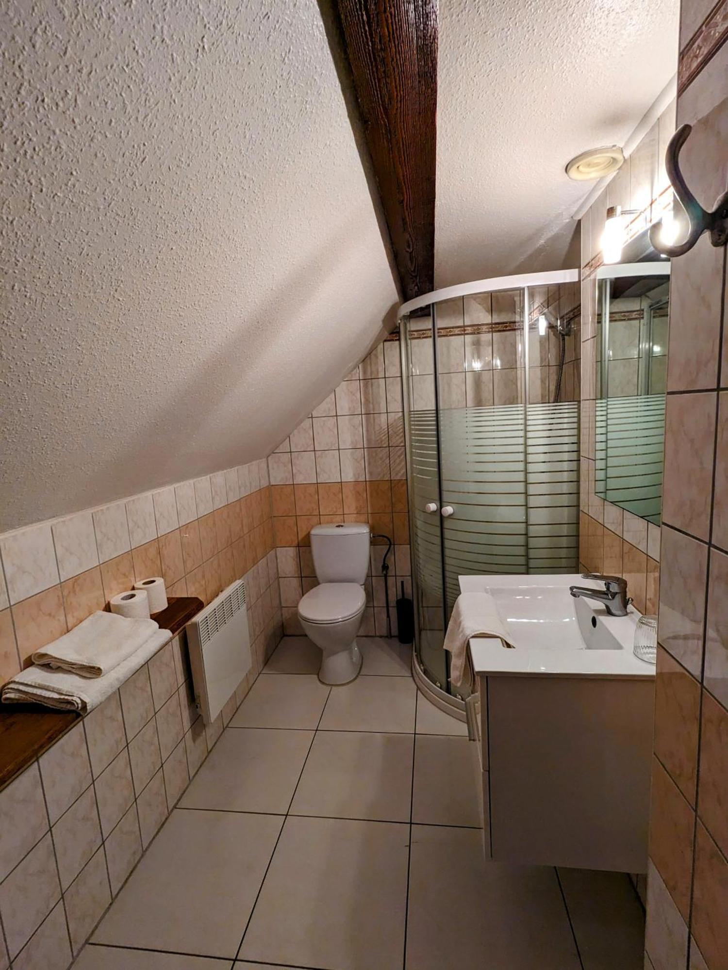 Hotel Le Chasseur Illkirch-Graffenstaden Esterno foto