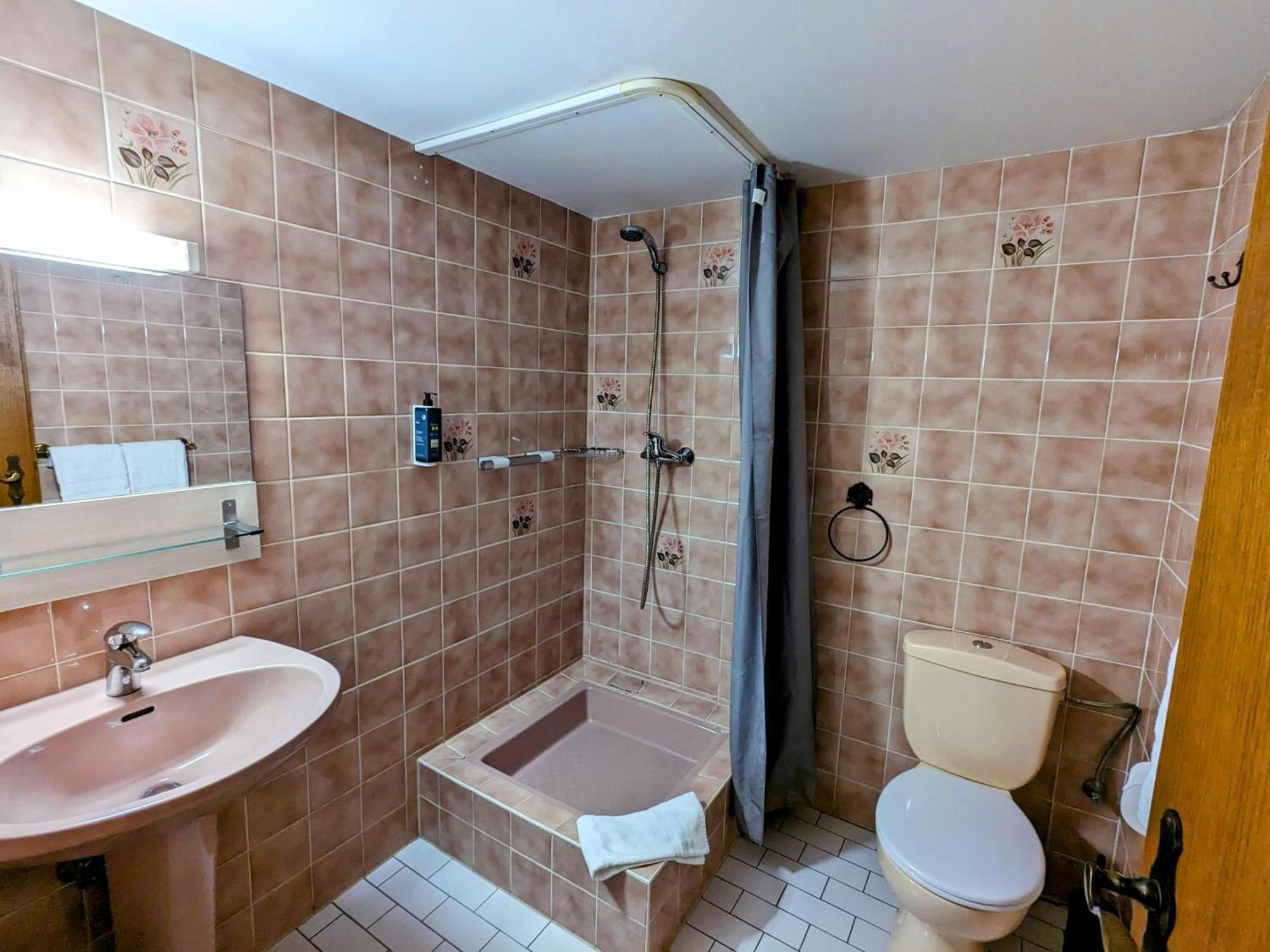 Hotel Le Chasseur Illkirch-Graffenstaden Esterno foto